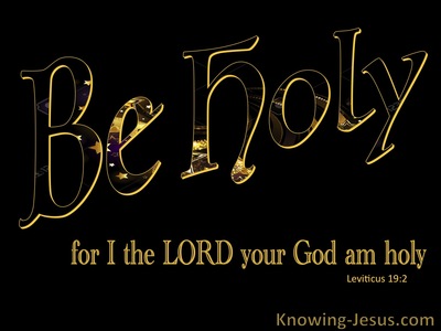 Leviticus 19:2 Be Holy For I Am Holy (black)